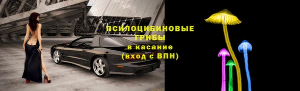 таблы Лиски