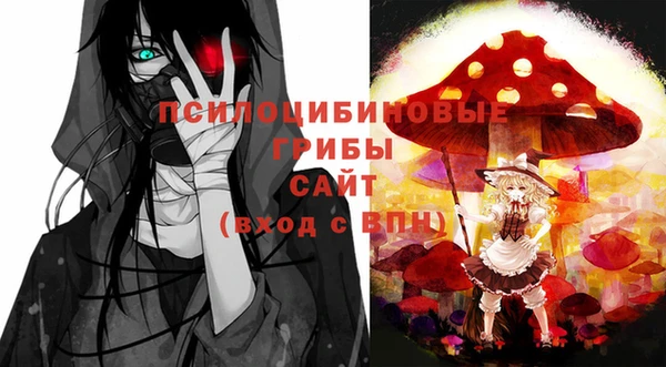 таблы Лиски