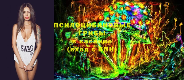 apvp Нижний Тагил
